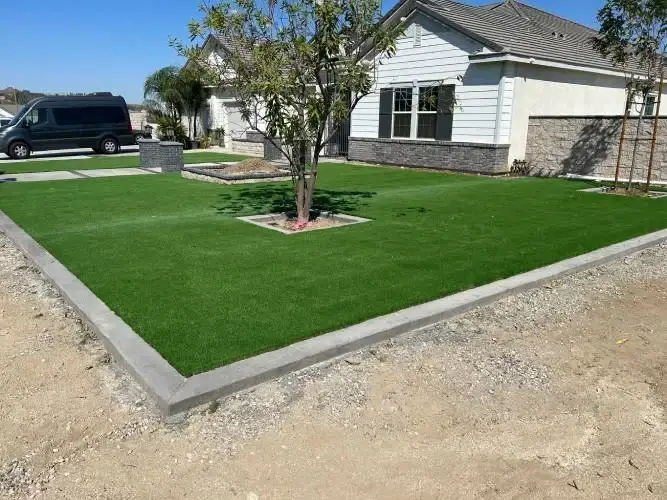 Front yard with new turf, a tree ring, and concrete edging by TCS Construction